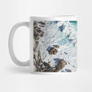 Cape of Good Hope Rocky Beach Photograph Mug